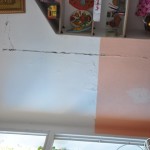 DSC 0115